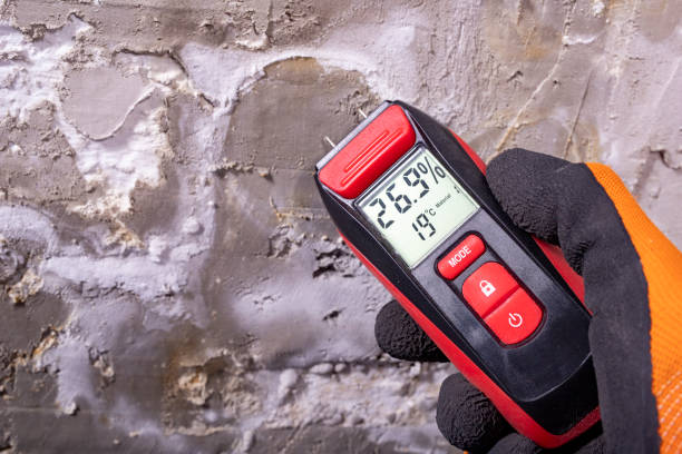 Best Local Mold Removal Service  in Batesville, AR